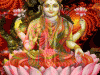 dipawali_13324_176x220