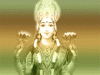 dipawali_13332_176x220