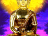 lordbuddha