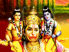 pavansut